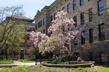 The photo, from MPhotography, is of the Natural Sciences building in the spring, with a student studying on one of its stone walls, book open.